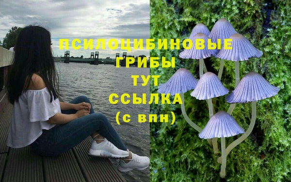 ECSTASY Ладушкин