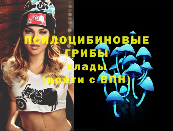 ECSTASY Ладушкин