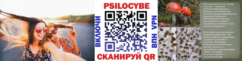Галлюциногенные грибы прущие грибы Кирс